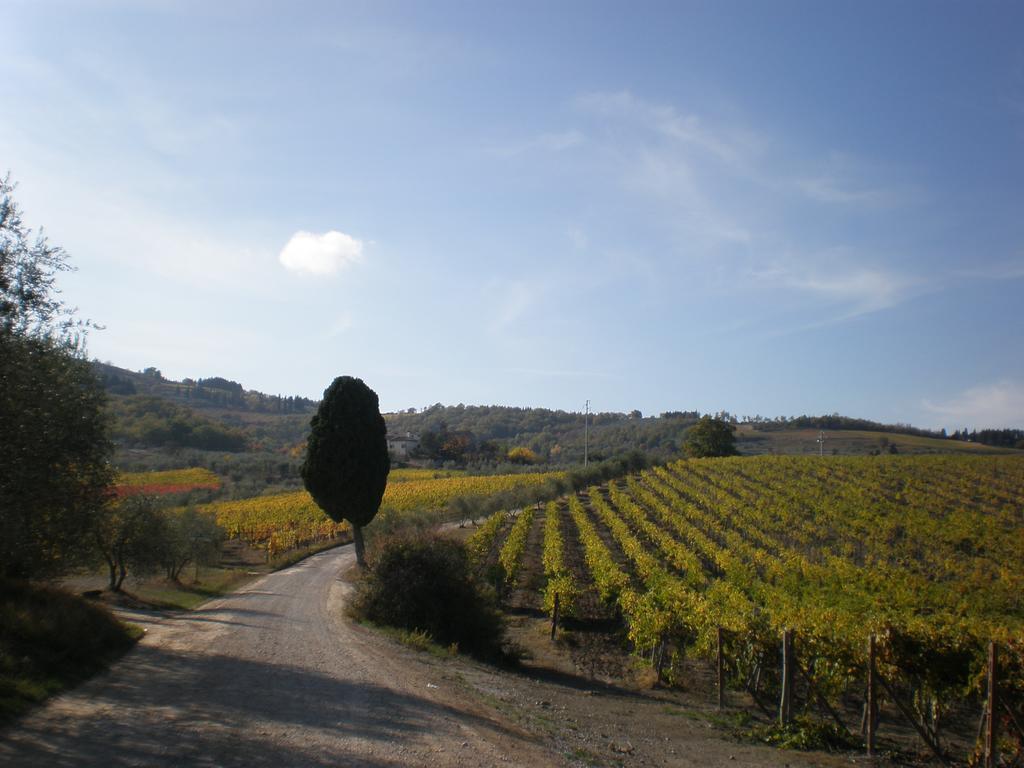 Agriturismo Podere Torre Greve in Chianti Exteriér fotografie