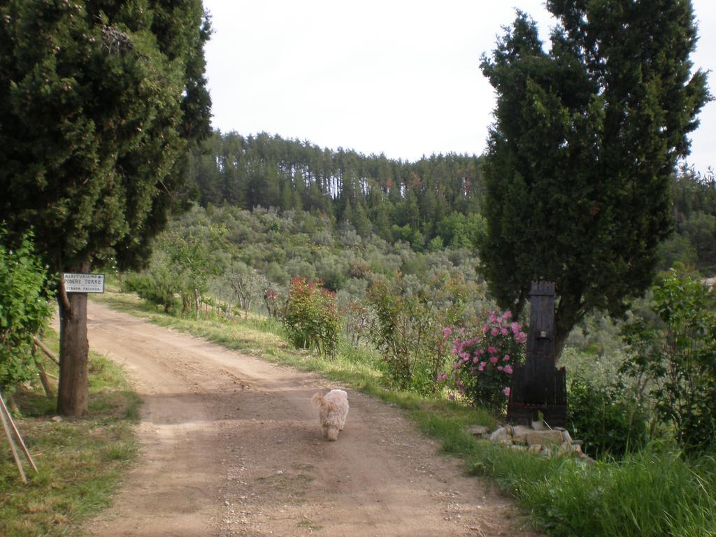 Agriturismo Podere Torre Greve in Chianti Exteriér fotografie