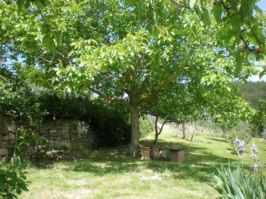 Agriturismo Podere Torre Greve in Chianti Exteriér fotografie